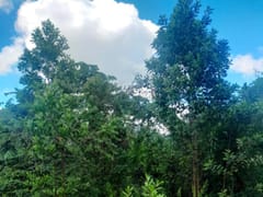 Terreno en venta en Higuero, Santo Domingo Norte – foto 6