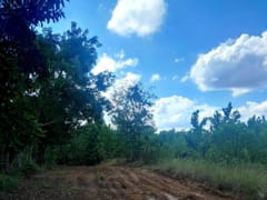 Terreno en venta en Higuero, Santo Domingo Norte – foto 1