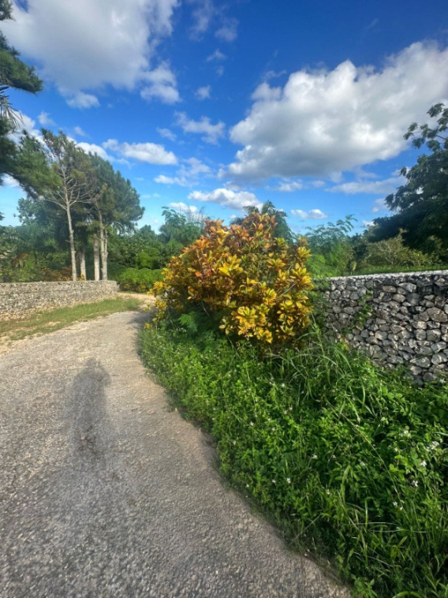 Terreno En Catalina Arriba, Cabrera – foto 9