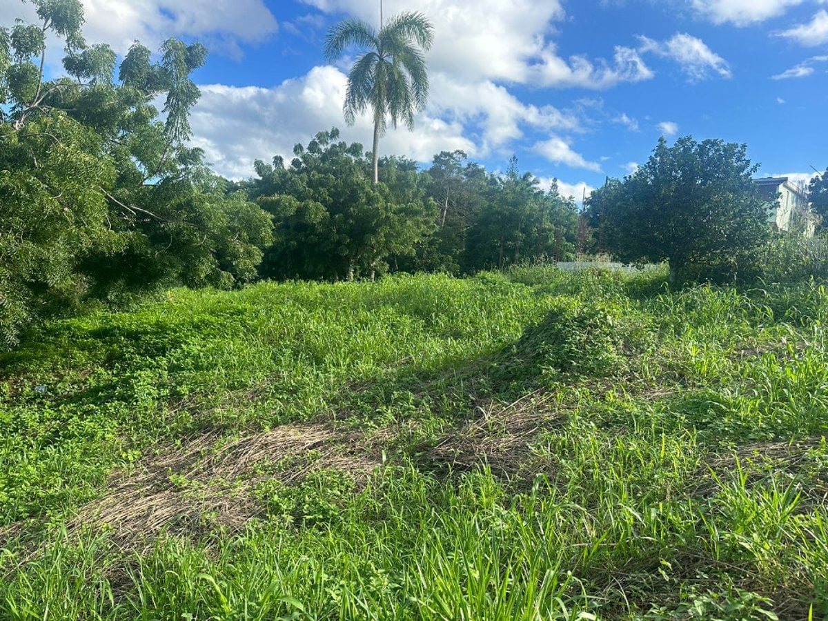 Terreno En Catalina Arriba, Cabrera – foto 1