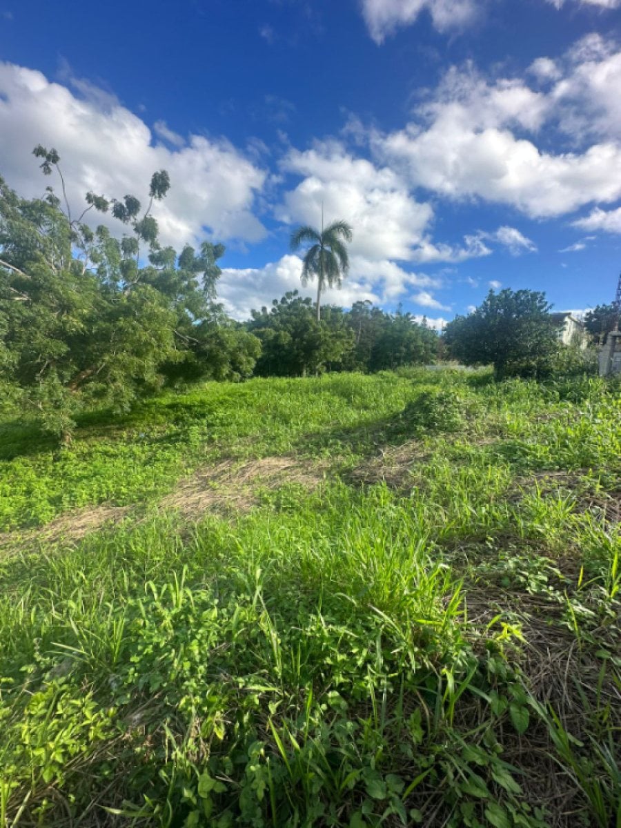 Terreno En Catalina Arriba, Cabrera – foto 4