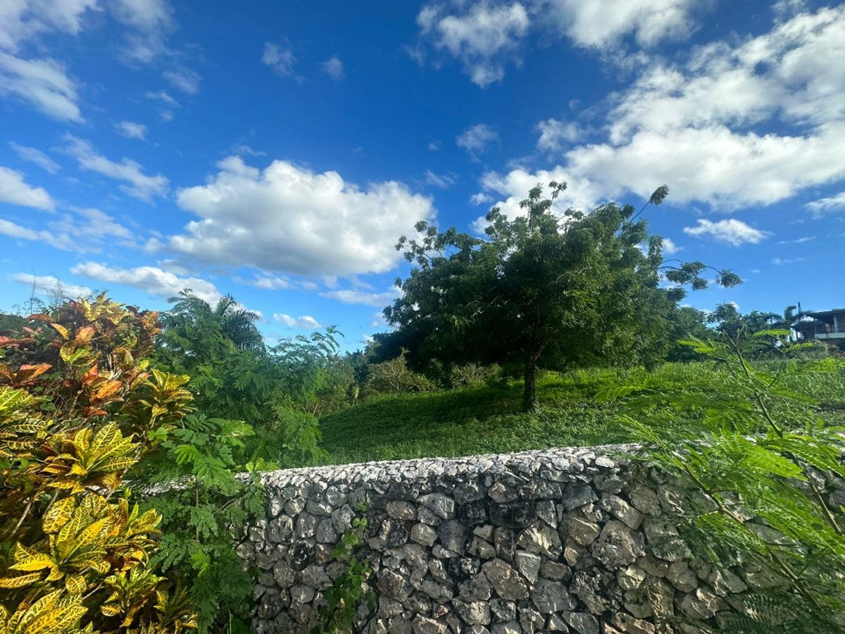Terreno En Catalina Arriba, Cabrera – foto 5