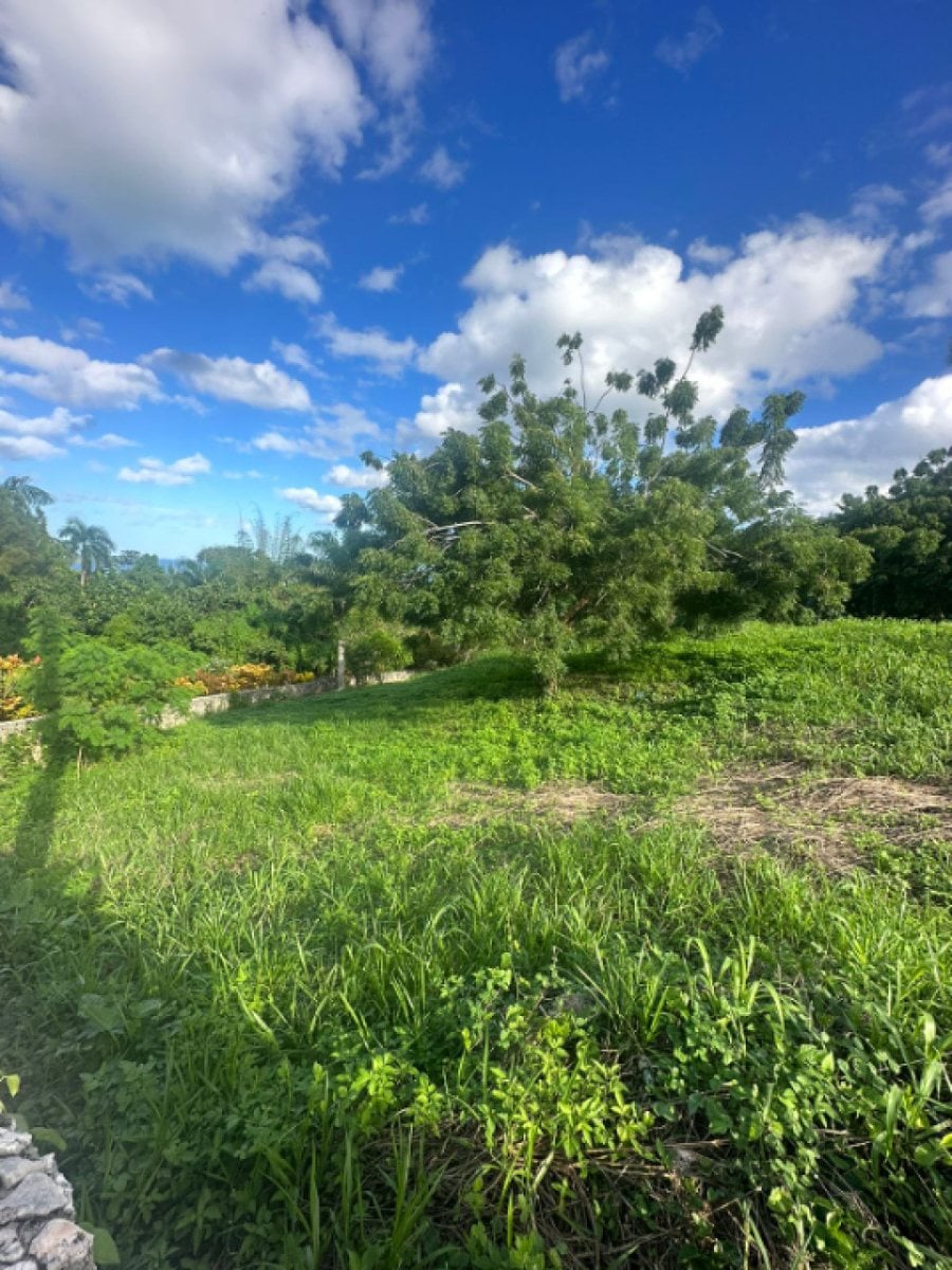Terreno En Catalina Arriba, Cabrera – foto 8