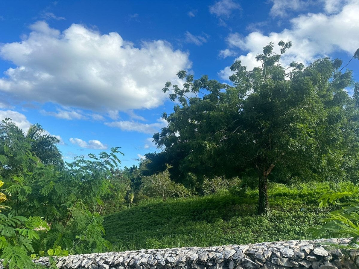 Terreno En Catalina Arriba, Cabrera – foto 7