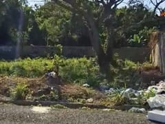 Venta de solar en Prado Oriental por la ave. Ecológica – foto 1