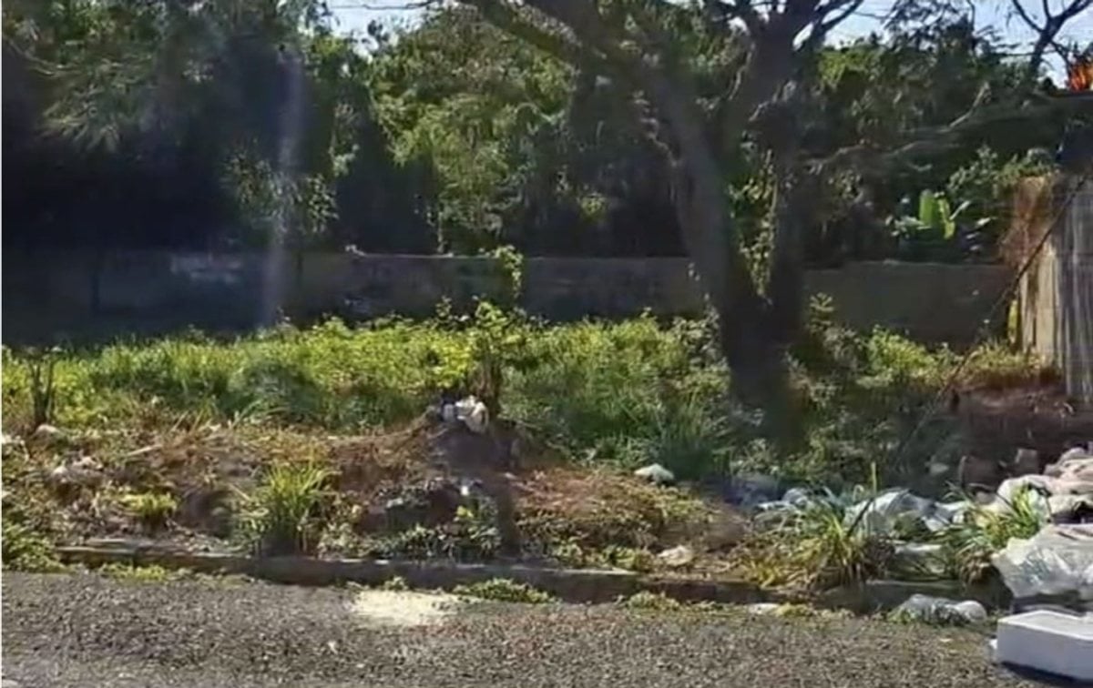 Venta de solar en Prado Oriental por la ave. Ecológica – foto 1