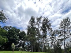 Terreno en venta en San Cristóbal – foto 2