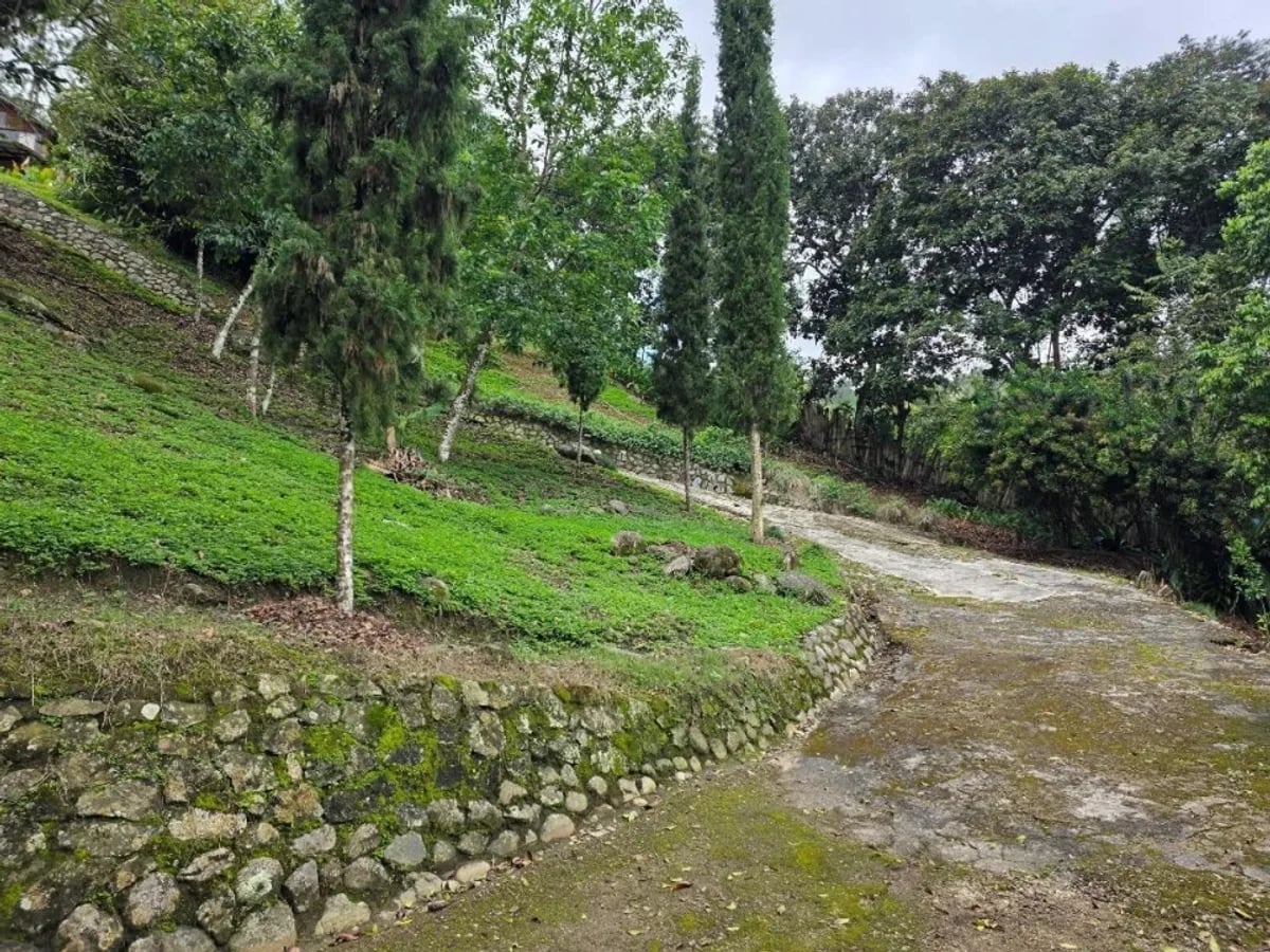 Casa de Montaña en Jarabacoa – foto 8
