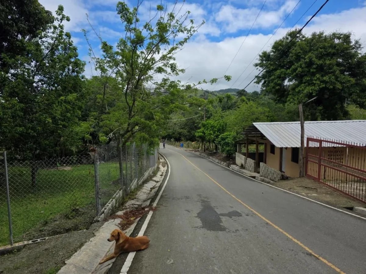 Casa de Montaña en Jarabacoa – foto 10