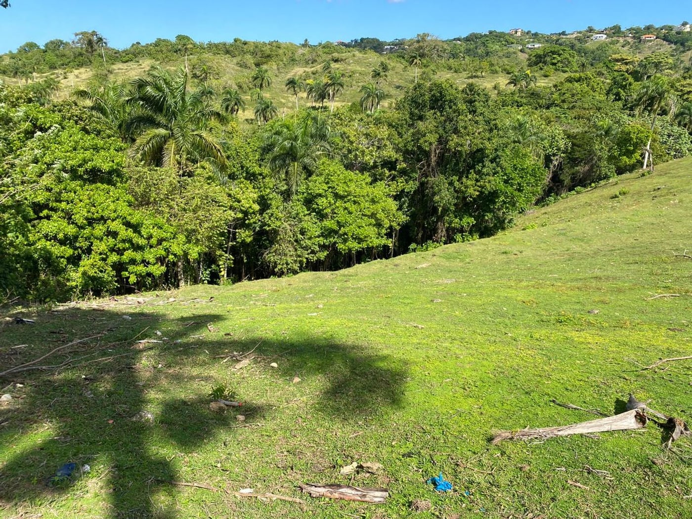 Terreno de 6.287mts2 en Urb. Aurora | Rio San Juan – foto 2