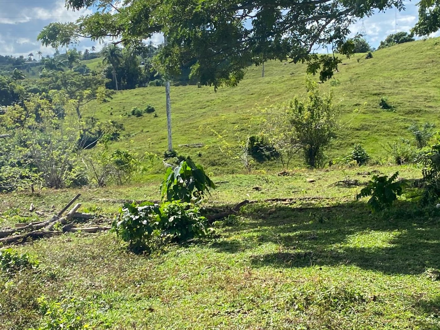 Terreno de 6.287mts2 en Urb. Aurora | Rio San Juan – foto 7