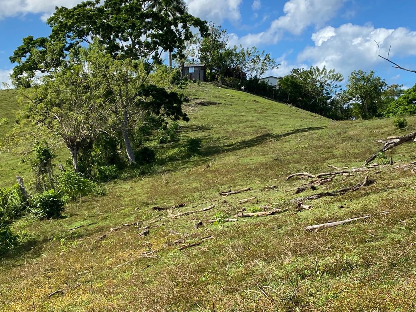 Terreno de 6.287mts2 en Urb. Aurora | Rio San Juan – foto 5