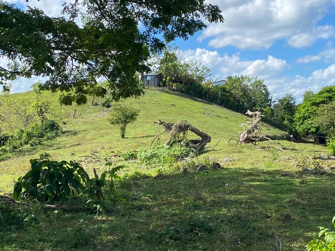 Terreno de 6.287mts2 en Urb. Aurora | Rio San Juan – foto 4