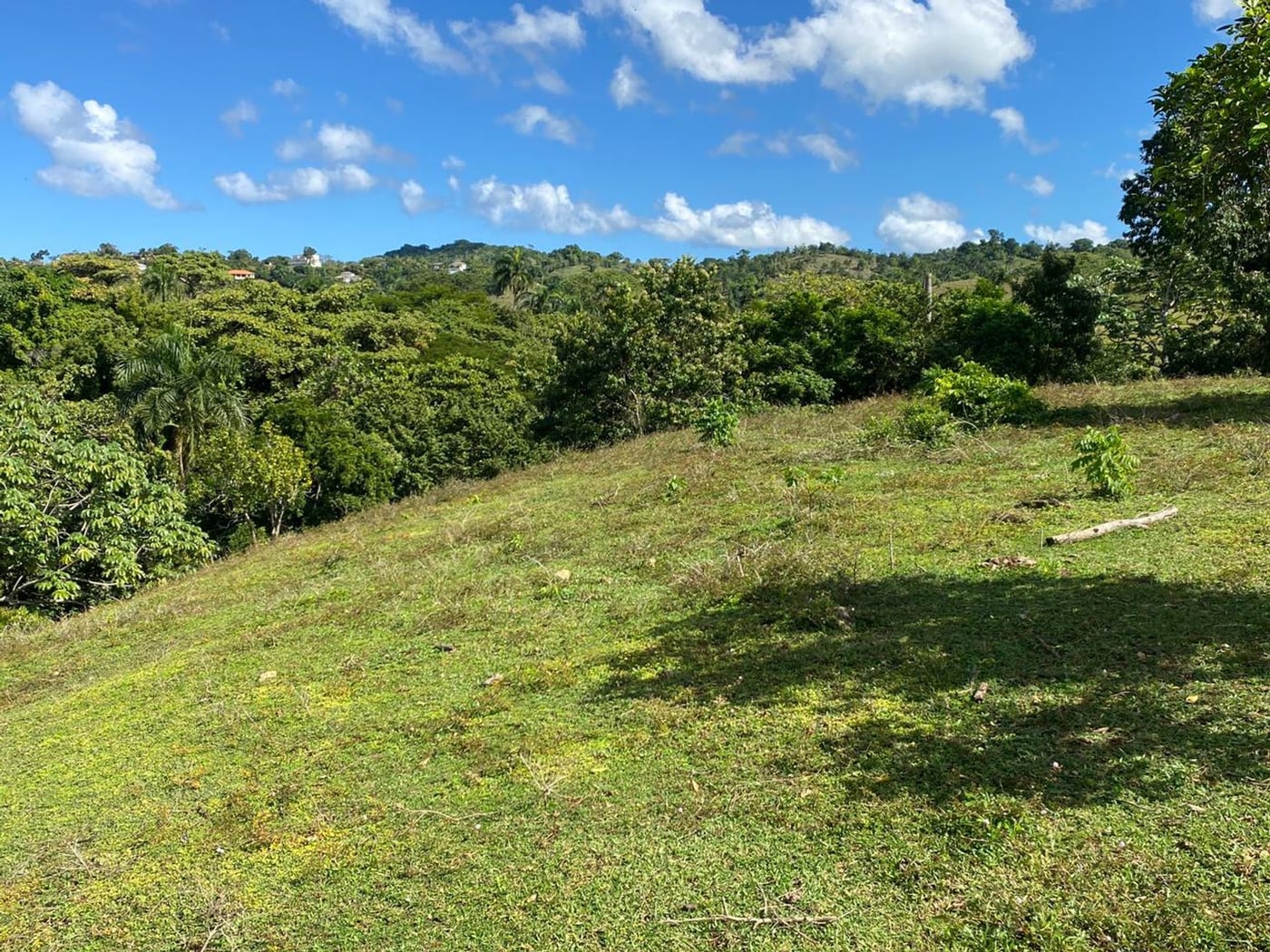 Terreno de 6.287mts2 en Urb. Aurora | Rio San Juan – foto 3