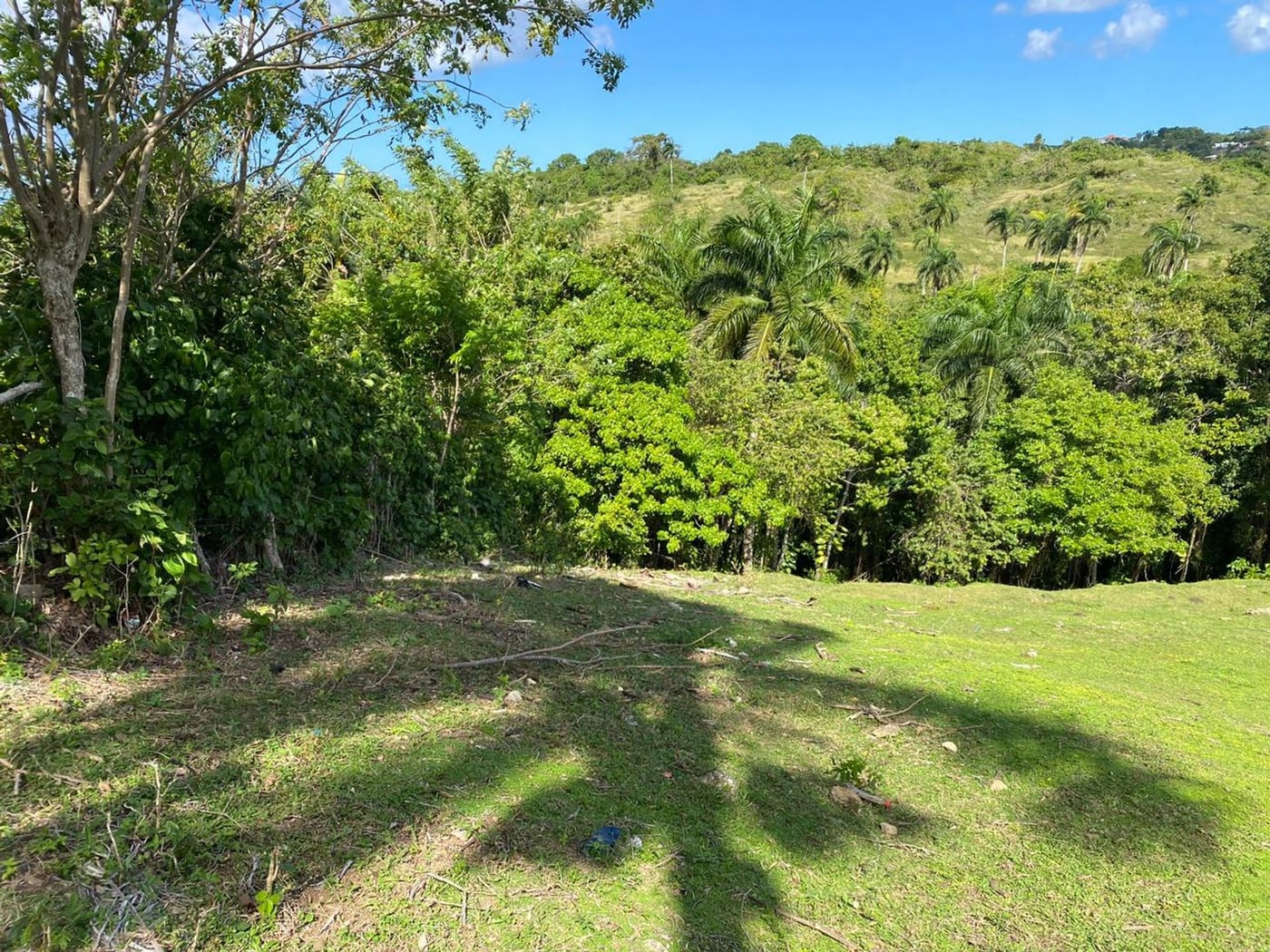 Terreno de 6.287mts2 en Urb. Aurora | Rio San Juan – foto 11
