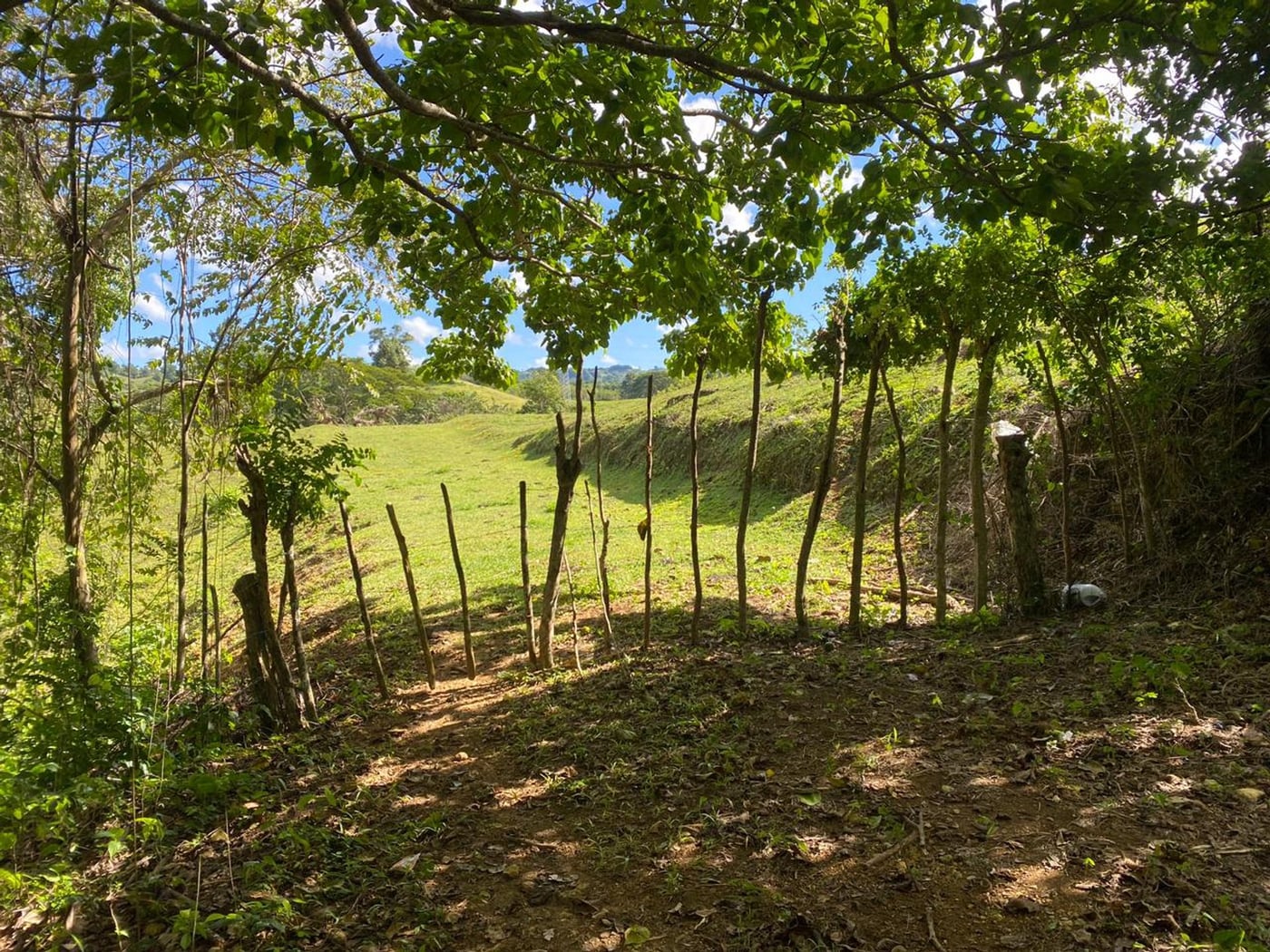 Terreno de 6.287mts2 en Urb. Aurora | Rio San Juan – foto 6