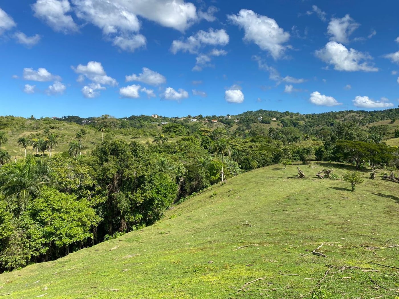 Terreno de 6.287mts2 en Urb. Aurora | Rio San Juan – foto 10