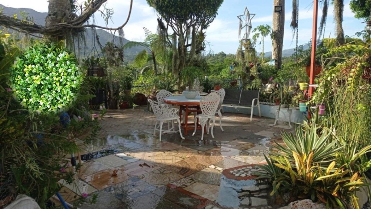 Finca en Villa Altagracia, San Cristóbal – foto 6