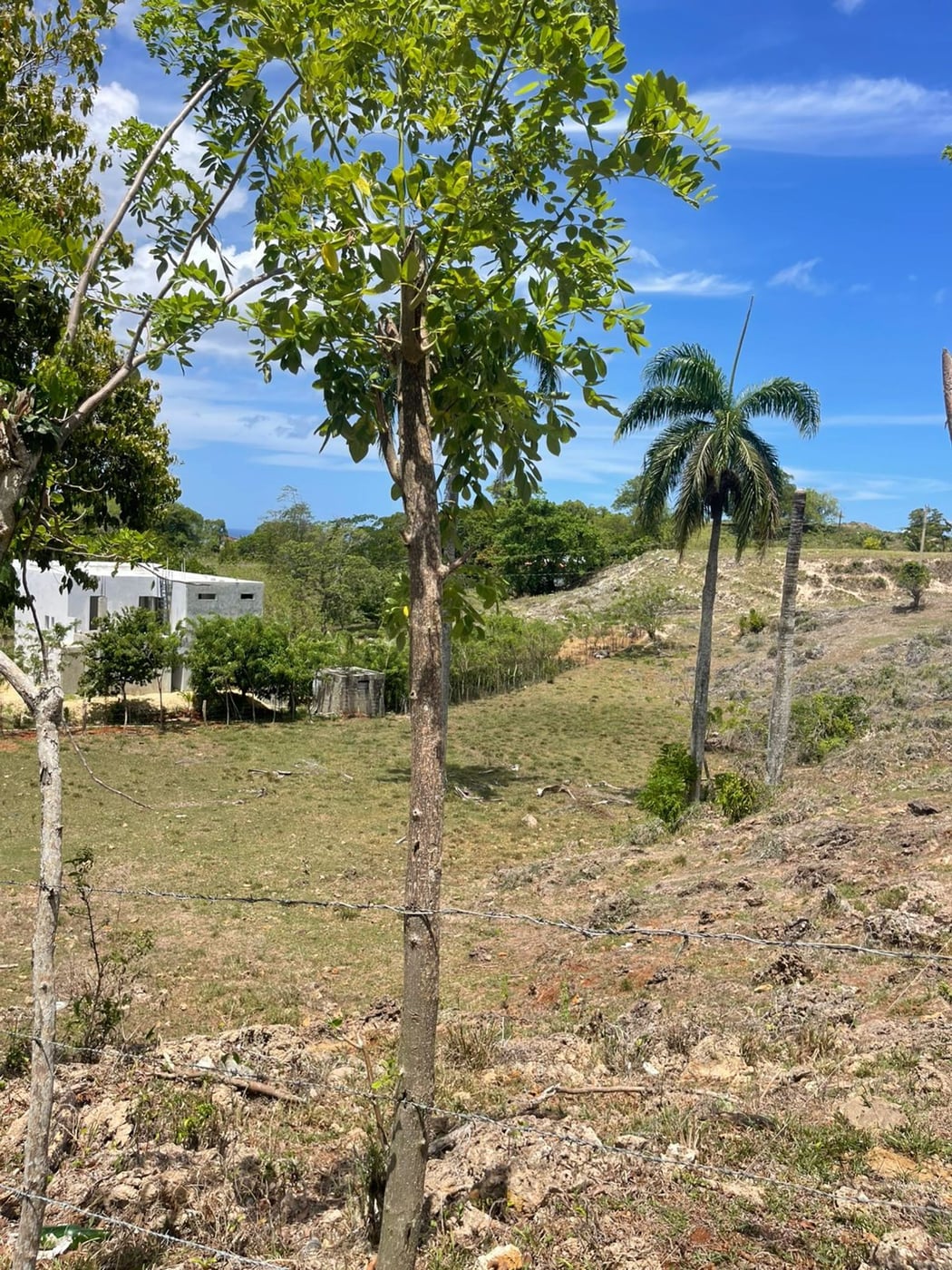 Dos Terrenos de 968 mts2 | La Novilla RSJ – foto 8