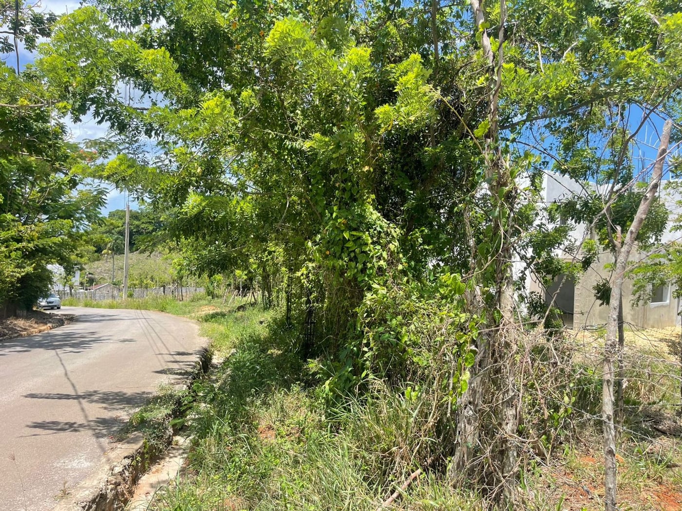 Dos Terrenos de 968 mts2 | La Novilla RSJ – foto 5