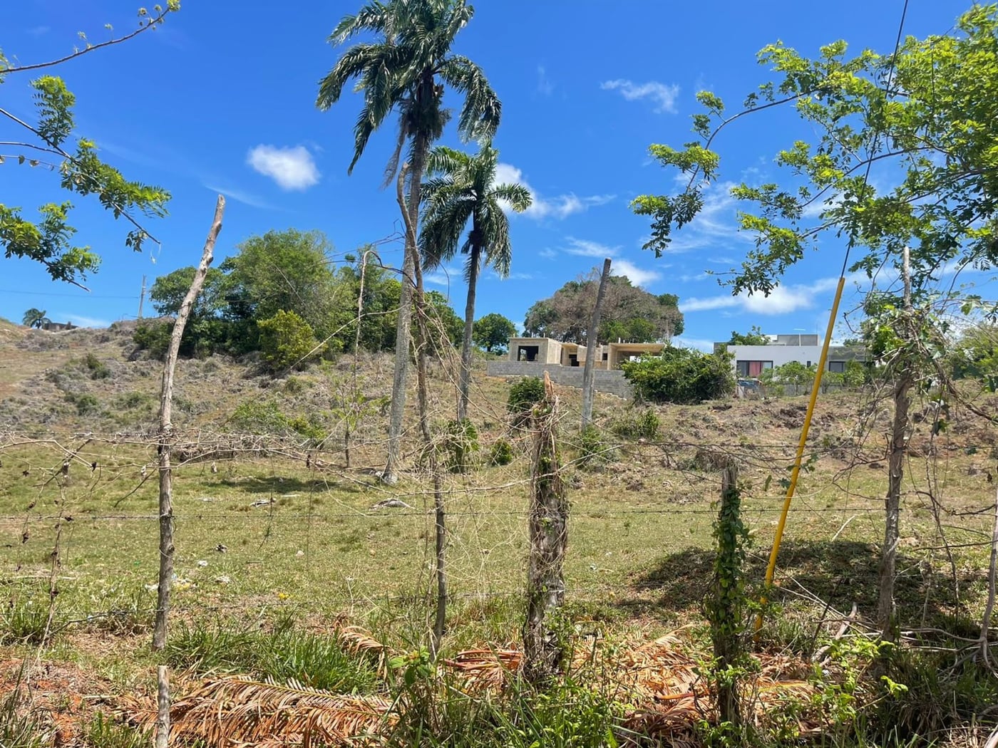Dos Terrenos de 968 mts2 | La Novilla RSJ – foto 4