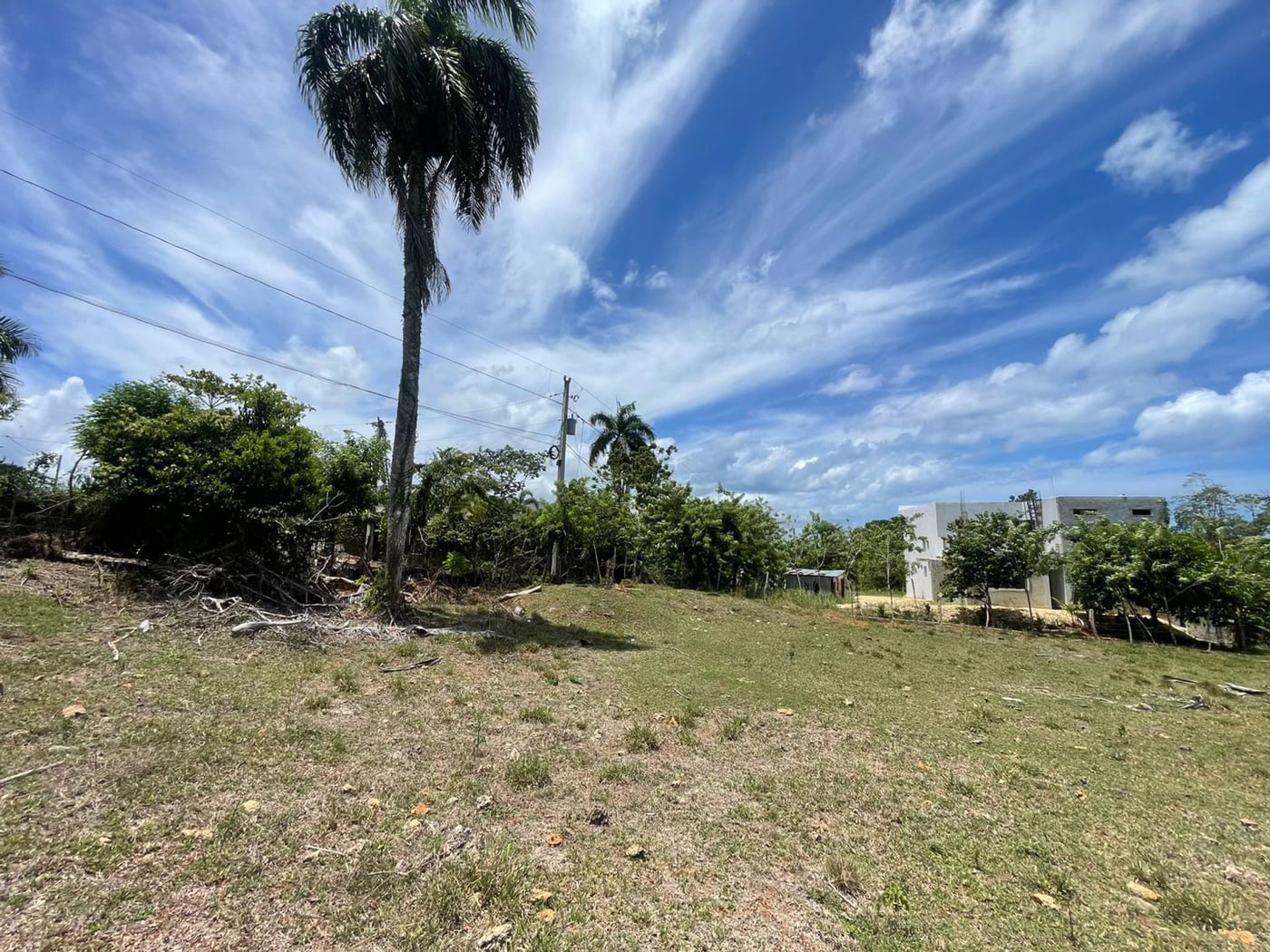 Dos Terrenos de 968 mts2 | La Novilla RSJ – foto 3