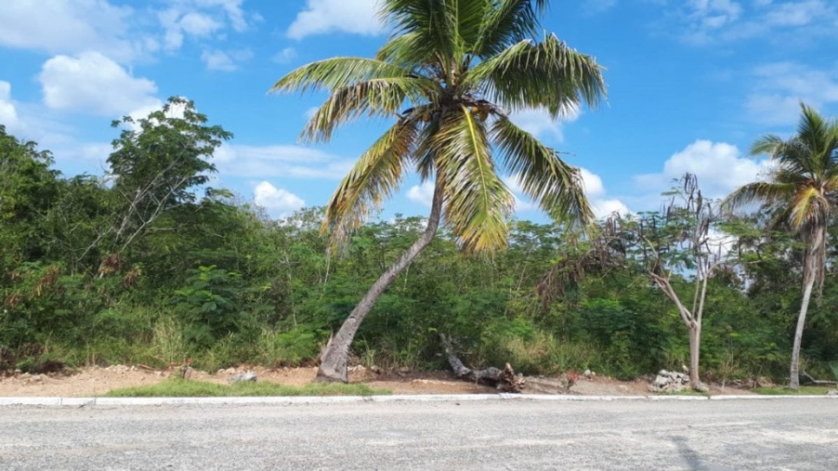 Terreno En Juan Dolio, Guayacanes – foto 1