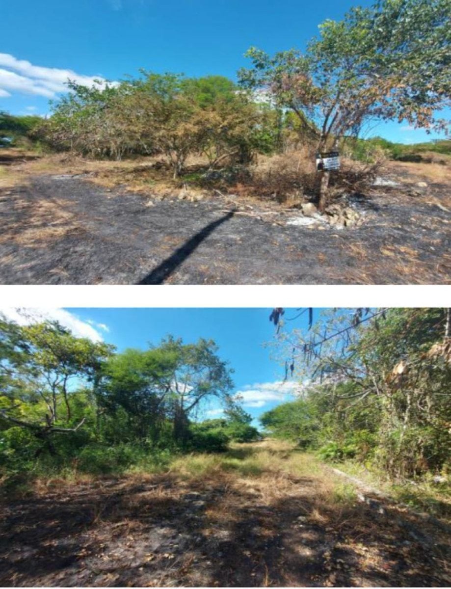 Terreno en Guayacanes, San Pedro de Macorís – foto 3