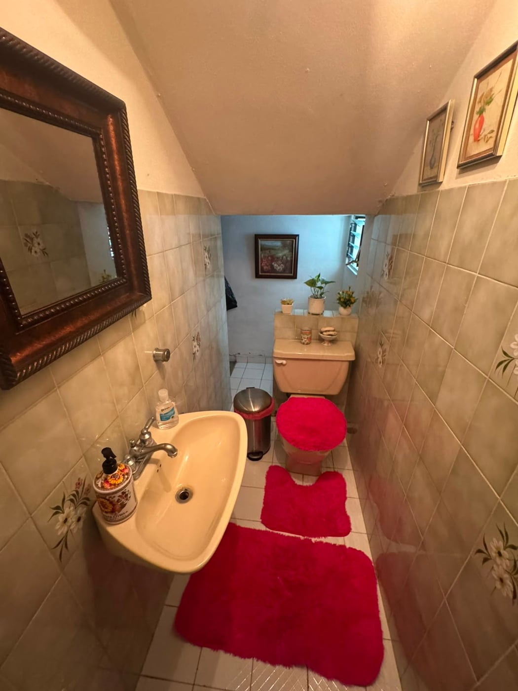 Casa comercial en venta, Mirador Norte – foto 9