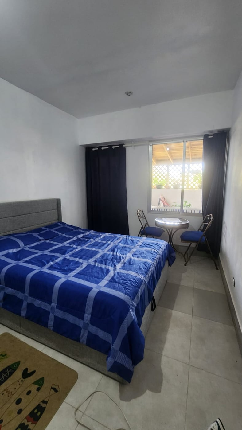 APARTAMENTO EN ALQUILER 1 DORMITORIO BOCA CHICA – foto 3