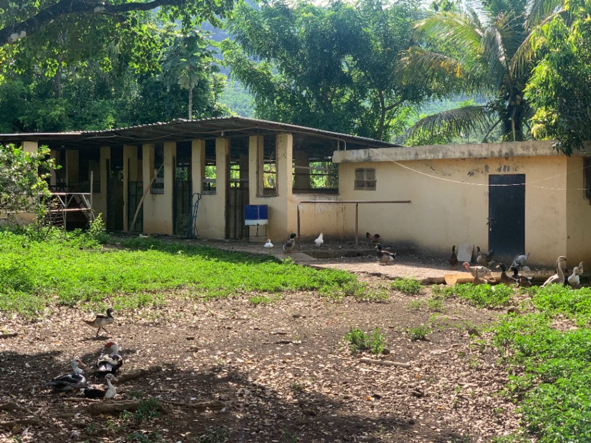 Finca En Los Plátanos, Bonao – foto 9