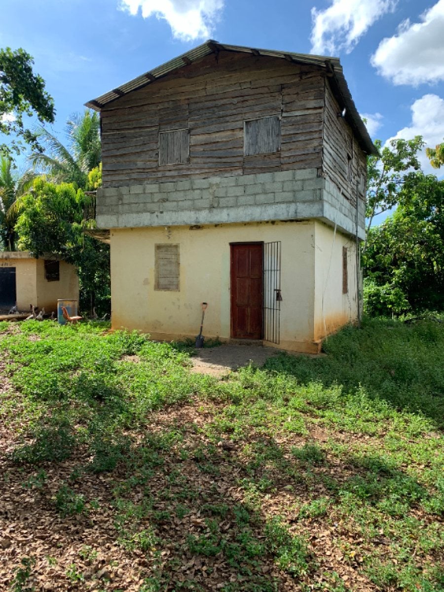 Finca En Los Plátanos, Bonao – foto 11