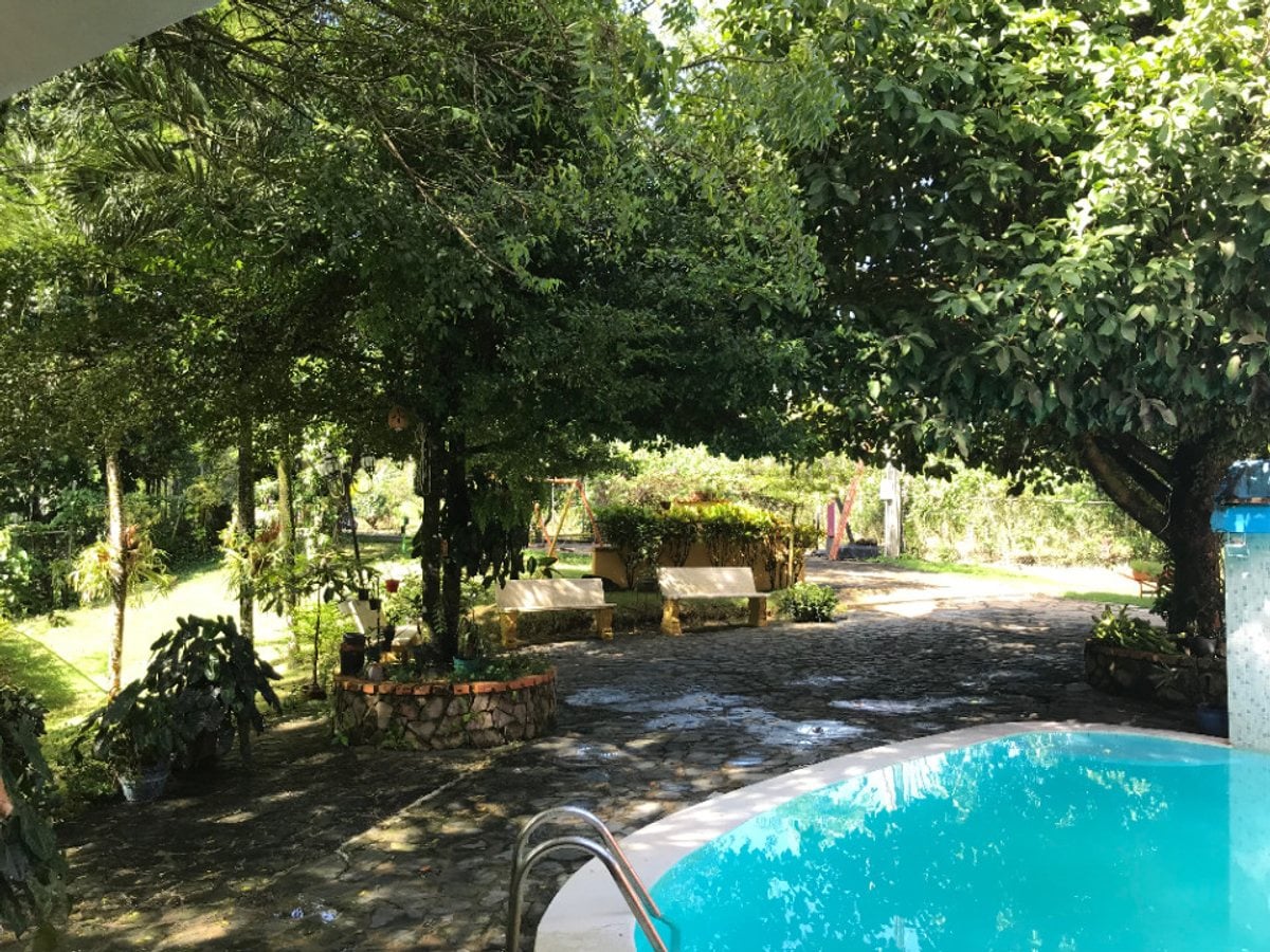 Finca En Los Plátanos, Bonao – foto 5