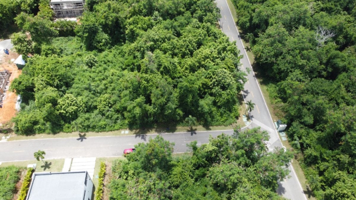 Terreno En Playa Nueva Romana, Nueva Romana – foto 5