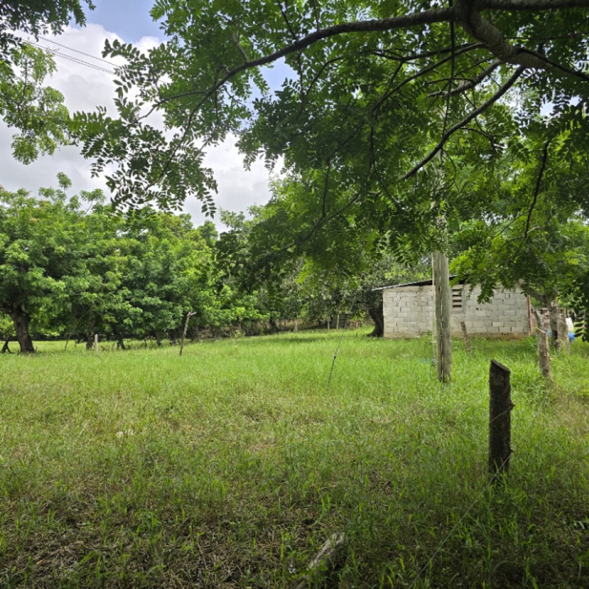 Terreno de alto potencial para proyectos – foto 4