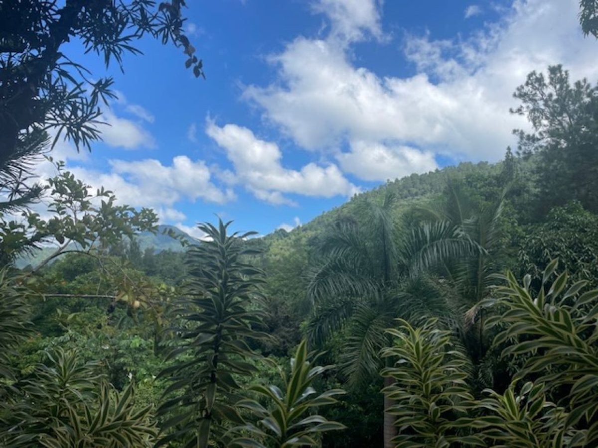VENTA FINCA VILLA ALTAGRACIA – foto 11