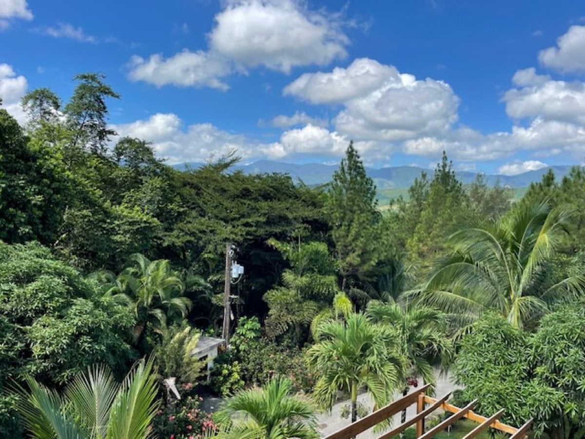 VENTA FINCA VILLA ALTAGRACIA – foto 8
