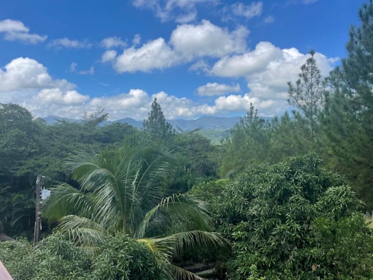 VENTA FINCA VILLA ALTAGRACIA – foto 10