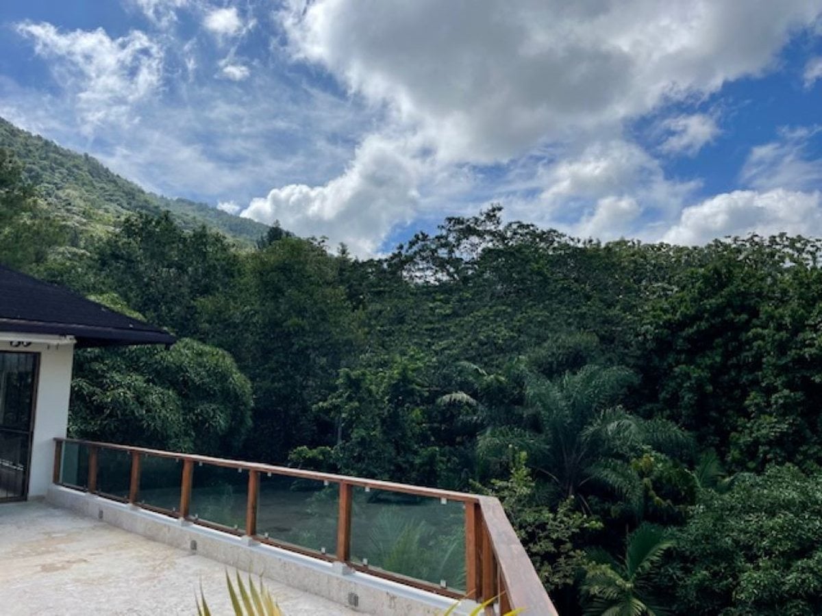 VENTA FINCA VILLA ALTAGRACIA – foto 6