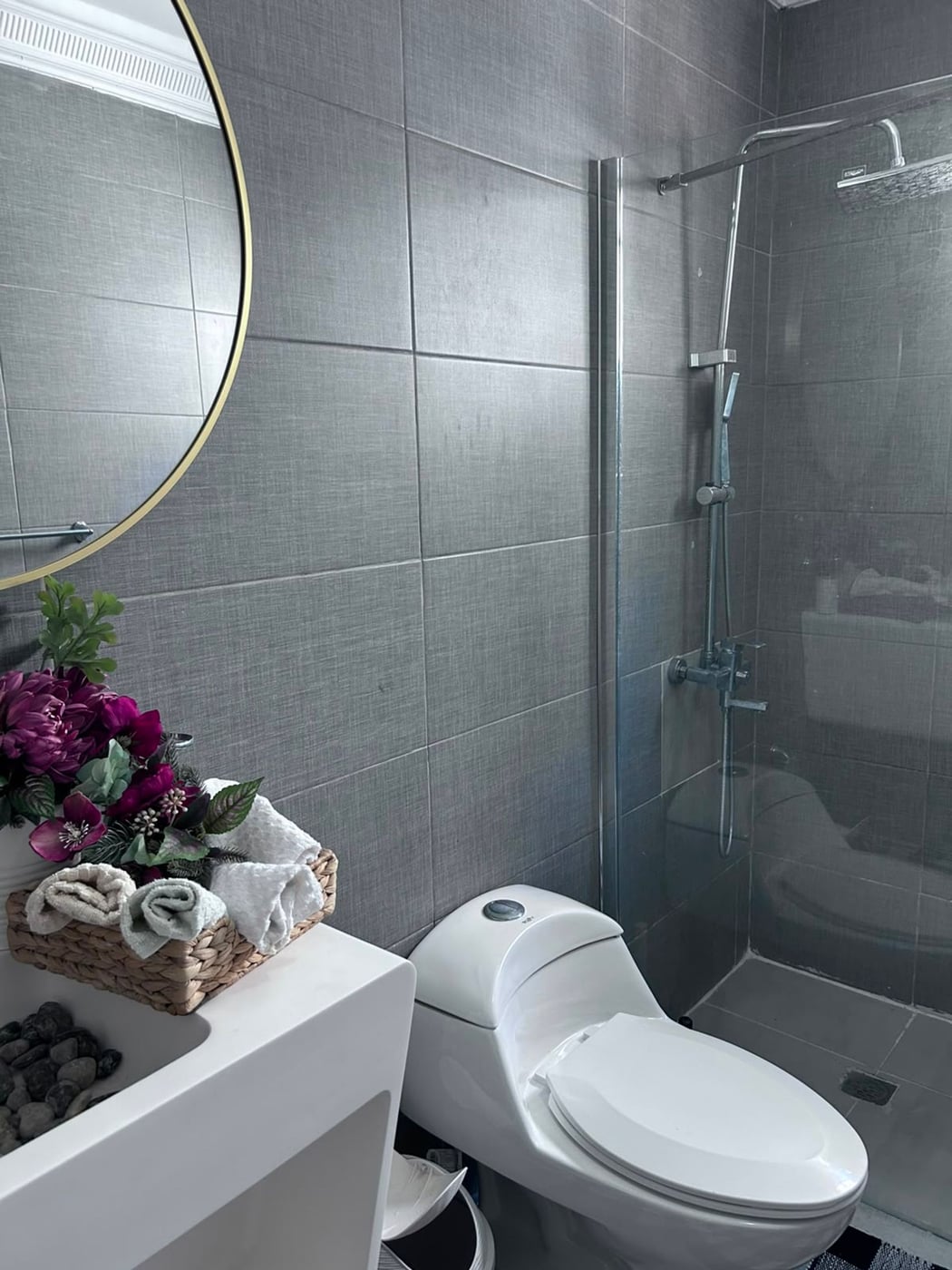 APARTAMENTO EN VENTA EN RENACIMIENTO – foto 10