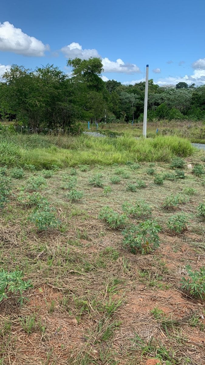 Terreno en Yamasá, Sector La Cuaba – foto 5