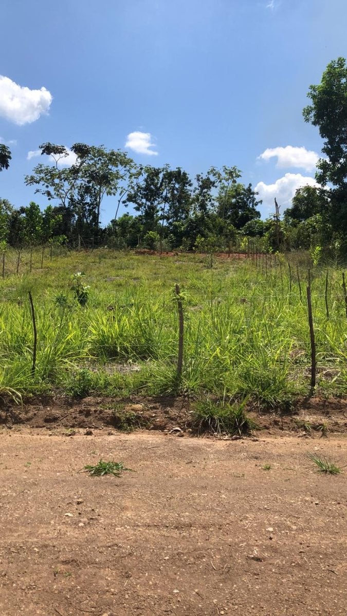Terreno en Yamasá, Sector La Cuaba – foto 6