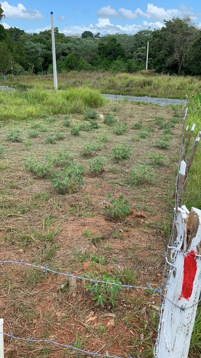 Terreno en Yamasá, Sector La Cuaba – foto 4