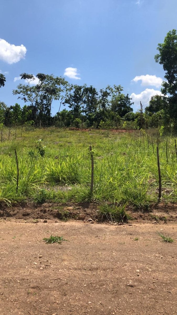 Terreno en Yamasá, Sector La Cuaba – foto 2