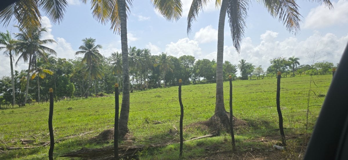 Terreno en Santo Domingo Norte, La Victoria – foto 1