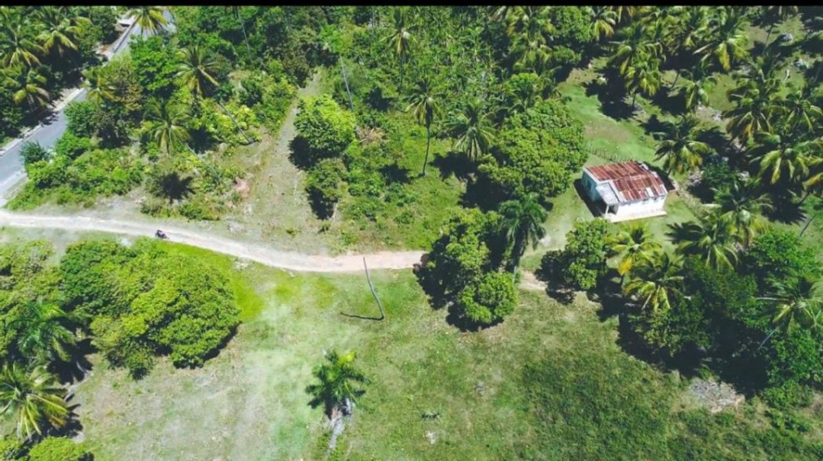 Terreno en Samaná, Loma de la Piña – foto 5