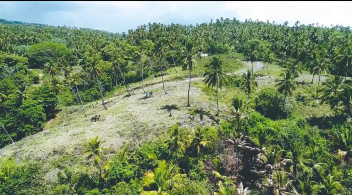 Terreno en Samaná, Loma de la Piña – foto 2