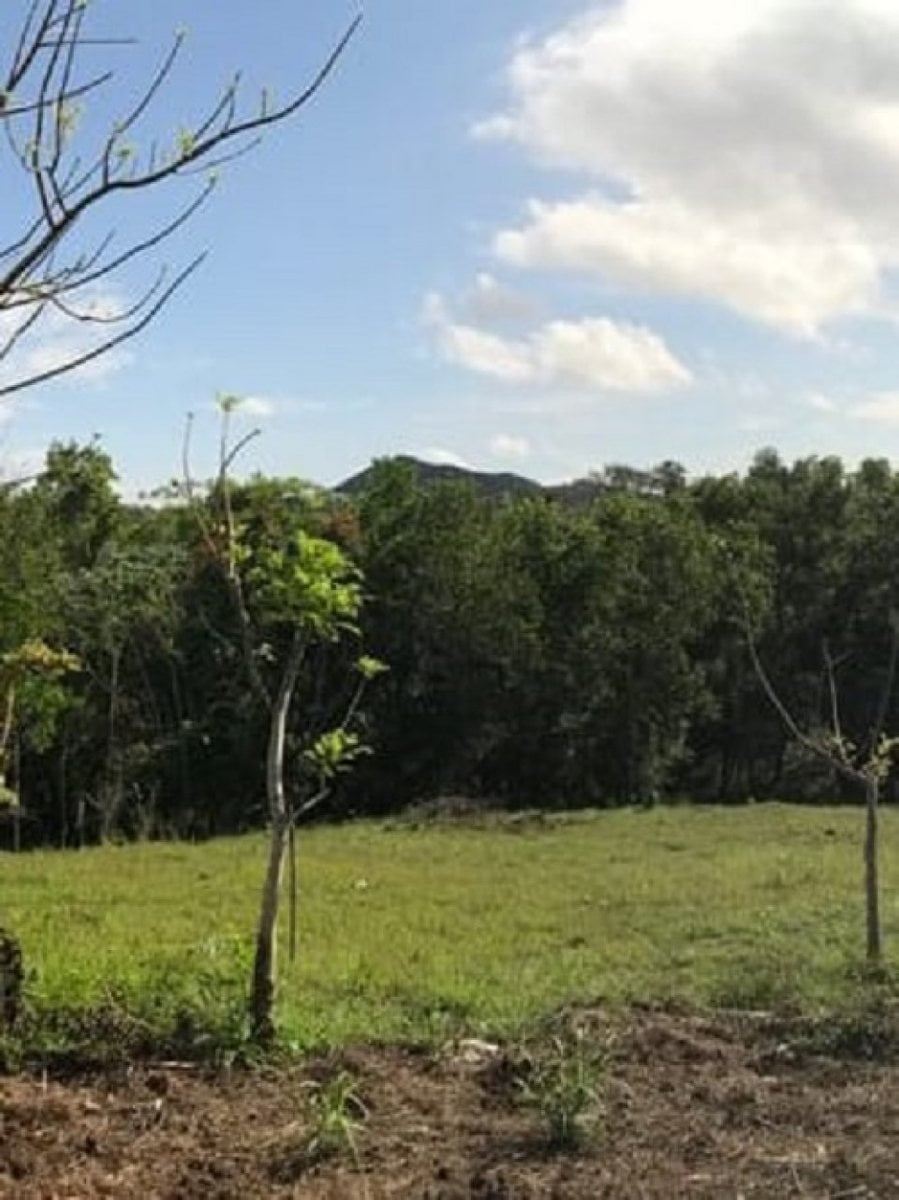 Terreno en venta – foto 4