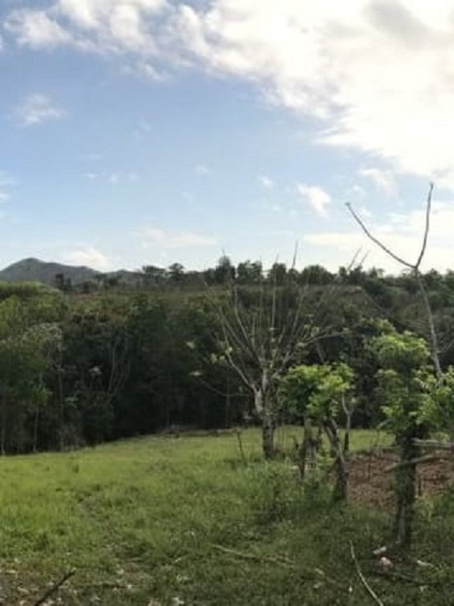 Terreno en venta – foto 2
