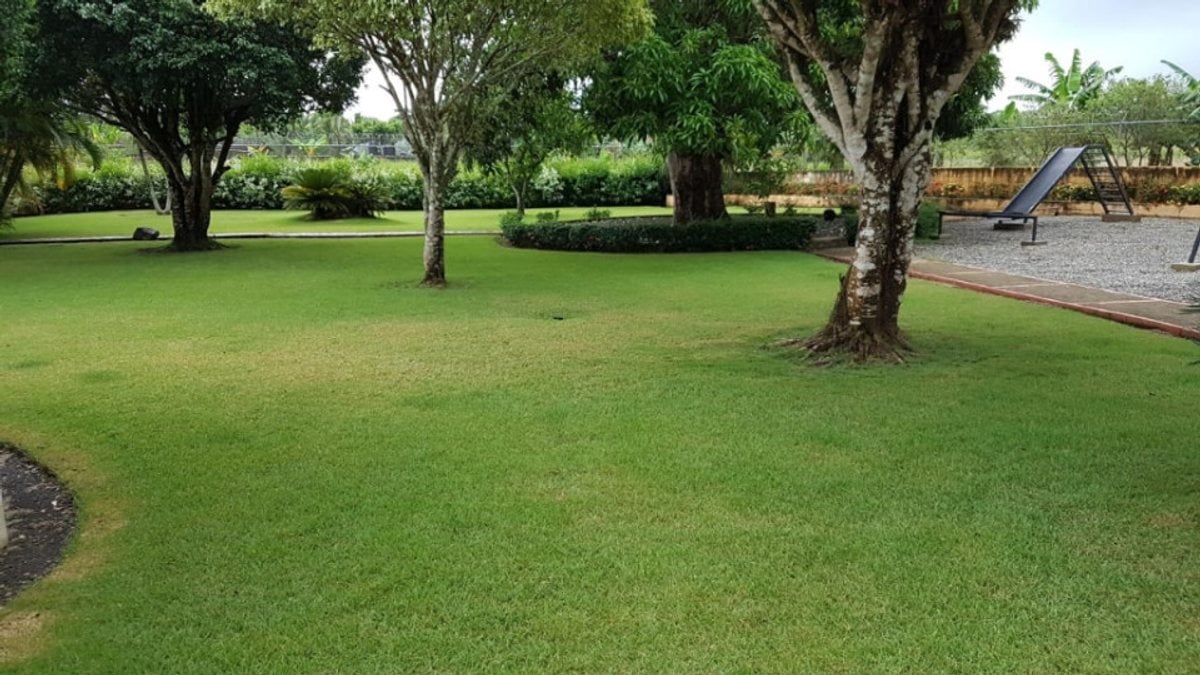 Terreno en San Antonio de Guerra, 48289 m² – foto 1